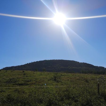 Domek Nasze Miejsce Lomnica  Esterno foto